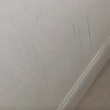 https://cdn-ostrovok-ru-ion.test.edgekey.net/t/100x100/hotel_review/c6/d5/c6d5fb56d065e3362ed643c63e02748757db5d0f.JPEG