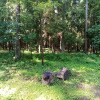 https://cdn-ostrovok-ru-ion.test.edgekey.net/t/100x100/hotel_review/c6/ed/c6ed9a88fb2cbbfd7d611cb6b8c705780bd9b4ae.JPEG