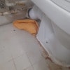 https://cdn-ostrovok-ru-ion.test.edgekey.net/t/100x100/hotel_review/c7/31/c731bee92c9e9b8a63185ce72ffa98930a74db87.JPEG