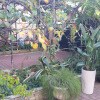 https://cdn-ostrovok-ru-ion.test.edgekey.net/t/100x100/hotel_review/c7/bb/c7bb03f11755cefa387bbef305cd1b4d766fe3aa.JPEG