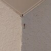 https://cdn-ostrovok-ru-ion.test.edgekey.net/t/100x100/hotel_review/c7/cf/c7cf510ae97b11d50d572998b51cc4245ca316b6.JPEG