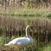 https://cdn-ostrovok-ru-ion.test.edgekey.net/t/100x100/hotel_review/c7/d1/c7d128f33013db94a204efb416d56386f373ceb2.JPEG