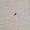 https://cdn-ostrovok-ru-ion.test.edgekey.net/t/100x100/hotel_review/c7/e0/c7e0014cb22bbd9b03c31981643f1862942d7b68.jpeg