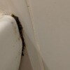 https://cdn-ostrovok-ru-ion.test.edgekey.net/t/100x100/hotel_review/c8/32/c832524bba5727694d09cf2311139bacc354449b.JPEG