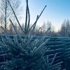 https://cdn-ostrovok-ru-ion.test.edgekey.net/t/100x100/hotel_review/c8/4d/c84debaa7b91f630b86ce805d29e2abce6e76402.JPEG