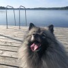 https://cdn-ostrovok-ru-ion.test.edgekey.net/t/100x100/hotel_review/c8/5b/c85baeff9e2ae9d38b969ad4b3e404e238527b0a.JPEG