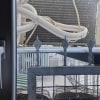 https://cdn-ostrovok-ru-ion.test.edgekey.net/t/100x100/hotel_review/c8/86/c88685a04cb636d6e0fcc4ded5b435921092f3b2.jpeg