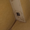 https://cdn-ostrovok-ru-ion.test.edgekey.net/t/100x100/hotel_review/c8/95/c89562ab929a6efe3bfdada37d86ad90514b4f6b.JPEG