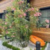 https://cdn-ostrovok-ru-ion.test.edgekey.net/t/100x100/hotel_review/c8/9d/c89d48b3f946aac4f5abbef220a72dcd07ee7141.JPEG