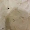 https://cdn-ostrovok-ru-ion.test.edgekey.net/t/100x100/hotel_review/c8/zz/c8ad7addfaf666d41c5917f575431e19f34dcf11.JPEG