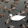 https://cdn-ostrovok-ru-ion.test.edgekey.net/t/100x100/hotel_review/c9/3c/c93c42146895aae8058d5c2f3419a44035fc0c63.jpeg