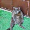 https://cdn-ostrovok-ru-ion.test.edgekey.net/t/100x100/hotel_review/c9/52/c952529dc867aeb5e8c3c065ef34a19a0ce2cd72.jpeg