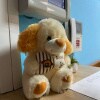 https://cdn-ostrovok-ru-ion.test.edgekey.net/t/100x100/hotel_review/c9/8b/c98b335c5337c9059ef15c3ad29b77e6fe1a80c7.JPEG