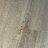 https://cdn-ostrovok-ru-ion.test.edgekey.net/t/100x100/hotel_review/c9/91/c991f360bf6c695be2f87c9310b3e41c856aa244.JPEG