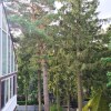 https://cdn-ostrovok-ru-ion.test.edgekey.net/t/100x100/hotel_review/c9/b3/c9b380416d24ebb7c7449153cbf04d92ebbec89c.jpeg