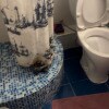 https://cdn-ostrovok-ru-ion.test.edgekey.net/t/100x100/hotel_review/ca/57/ca577764d5271568dcd14a822642f8e8d4519f22.jpeg