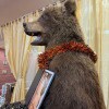 https://cdn-ostrovok-ru-ion.test.edgekey.net/t/100x100/hotel_review/ca/a2/caa2045ae198d03c2ea7cb64d62e8d58163c9290.JPEG