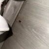 https://cdn-ostrovok-ru-ion.test.edgekey.net/t/100x100/hotel_review/ca/a9/caa9f53d3b191c98666e77c8555f8ea11a186e5d.JPEG
