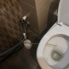 https://cdn-ostrovok-ru-ion.test.edgekey.net/t/100x100/hotel_review/ca/b2/cab26d14d60eb333235769297eeb9b8a06cd5cf5.JPEG