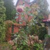 https://cdn-ostrovok-ru-ion.test.edgekey.net/t/100x100/hotel_review/cb/10/cb106fc0051ed9311a399cec2bd534b45d87fe1d.JPEG