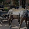https://cdn-ostrovok-ru-ion.test.edgekey.net/t/100x100/hotel_review/cb/20/cb20f331dbca80a0c00ca3d23c143ae41b58ca41.JPEG