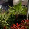 https://cdn-ostrovok-ru-ion.test.edgekey.net/t/100x100/hotel_review/cb/2f/cb2fa5e9f56187225f6474c4e8910281d77cdb22.JPEG