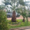 https://cdn-ostrovok-ru-ion.test.edgekey.net/t/100x100/hotel_review/cb/47/cb47ab8ac510b63d5c623e1fa1321882d4b0090a.jpeg