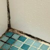 https://cdn-ostrovok-ru-ion.test.edgekey.net/t/100x100/hotel_review/cb/73/cb732132afcbb1bedd03c97f2be49218701eac76.JPEG