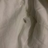 https://cdn-ostrovok-ru-ion.test.edgekey.net/t/100x100/hotel_review/cb/be/cbbe0ac73bbd43ea7a2abcb8514a0cddc3d69fae.JPEG