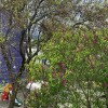 https://cdn-ostrovok-ru-ion.test.edgekey.net/t/100x100/hotel_review/cc/39/cc39f10c8a15b6e4eb6aae2e8b0f6f2f504120fa.JPEG