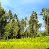 https://cdn-ostrovok-ru-ion.test.edgekey.net/t/100x100/hotel_review/cc/3b/cc3b149b48bdd7f14e7020b86b4b899871346cc1.JPEG