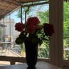 https://cdn-ostrovok-ru-ion.test.edgekey.net/t/100x100/hotel_review/cc/3d/cc3d43d1dc17dbec6405058a114fe7f4da32c4c9.JPEG
