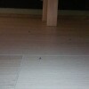 https://cdn-ostrovok-ru-ion.test.edgekey.net/t/100x100/hotel_review/cc/68/cc687c08bc845c799989c5e3133380316e35beca.jpeg