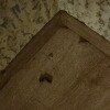 https://cdn-ostrovok-ru-ion.test.edgekey.net/t/100x100/hotel_review/cc/77/cc77505ab9fae016a498121becf0eea69c2251cf.jpeg