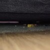 https://cdn-ostrovok-ru-ion.test.edgekey.net/t/100x100/hotel_review/cc/b5/ccb5465a7b653775dbff552fc4f5cc5d3050585e.JPEG