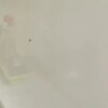 https://cdn-ostrovok-ru-ion.test.edgekey.net/t/100x100/hotel_review/cc/fb/ccfb3ab224b09877875c0a17660017d9c4c3e60c.jpeg