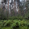 https://cdn-ostrovok-ru-ion.test.edgekey.net/t/100x100/hotel_review/cc/zz/ccad36a66132cb2c3d22ec2be9234b64914f068e.JPEG