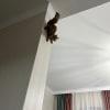 https://cdn-ostrovok-ru-ion.test.edgekey.net/t/100x100/hotel_review/cd/06/cd0694dcf1067e3400750ee2d5057f4354e944d8.JPEG