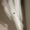 https://cdn-ostrovok-ru-ion.test.edgekey.net/t/100x100/hotel_review/cd/07/cd07ad84b9009d506e45f6e25eb7009410b91e83.jpeg