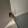 https://cdn-ostrovok-ru-ion.test.edgekey.net/t/100x100/hotel_review/cd/48/cd4865df84d8e101996398f3457514c0a7605322.JPEG
