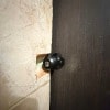 https://cdn-ostrovok-ru-ion.test.edgekey.net/t/100x100/hotel_review/cd/76/cd7613f1eac09cf42c80fc8d6ba8bee2165a75d9.JPEG