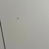 https://cdn-ostrovok-ru-ion.test.edgekey.net/t/100x100/hotel_review/cd/9a/cd9a6d46cbf5f35202b8b096848bf283fcc58261.JPEG