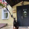 https://cdn-ostrovok-ru-ion.test.edgekey.net/t/100x100/hotel_review/cd/ae/cdae82eb87e79729ee50f2fc5b10362ce3c4cf93.JPEG