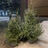 https://cdn-ostrovok-ru-ion.test.edgekey.net/t/100x100/hotel_review/cd/c0/cdc026024e5412aca8b3a970bf11642e7d867331.JPEG
