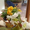 https://cdn-ostrovok-ru-ion.test.edgekey.net/t/100x100/hotel_review/cd/c6/cdc6f1178222332507d330200e93e94adf081bb3.JPEG