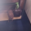 https://cdn-ostrovok-ru-ion.test.edgekey.net/t/100x100/hotel_review/ce/0e/ce0e0ccac9f8a8eb764622946b2a1ddd7d41468b.JPEG