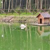 https://cdn-ostrovok-ru-ion.test.edgekey.net/t/100x100/hotel_review/ce/59/ce59800f1af0dfad586a30e8f42316cd16b49e66.JPEG
