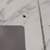 https://cdn-ostrovok-ru-ion.test.edgekey.net/t/100x100/hotel_review/ce/5f/ce5f0ef2b9a03c0678d6409ff296a625bb26eb11.JPEG