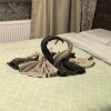 https://cdn-ostrovok-ru-ion.test.edgekey.net/t/100x100/hotel_review/ce/b1/ceb10bd696e6bb3129ae04b6362644b229ecc018.JPEG