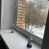 https://cdn-ostrovok-ru-ion.test.edgekey.net/t/100x100/hotel_review/ce/c3/cec393996c9f6d8f4b1904a8b289415c46d69812.JPEG